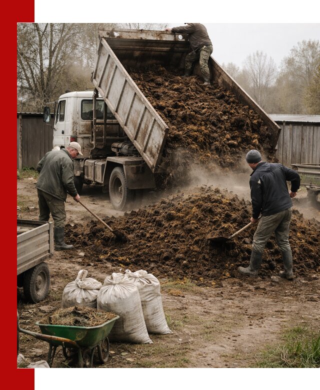Доставка коровьего навоза самосвалом в Сестрорецке